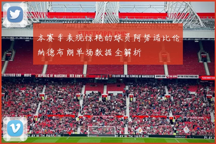 本赛季表现惊艳的球员阿努诺比伦纳德布朗单场数据全解析